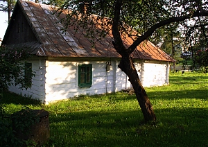 b184.jpg