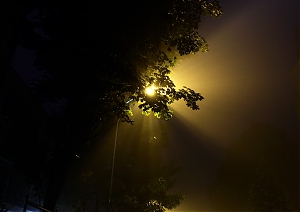 b204.jpg