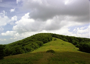 b209.jpg