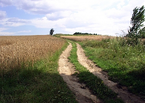 b215.jpg