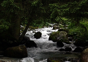 b219.jpg