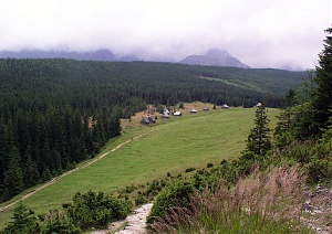 b223.jpg