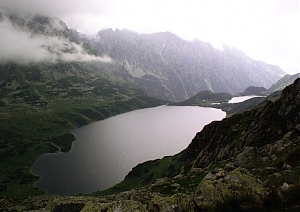 b228.jpg
