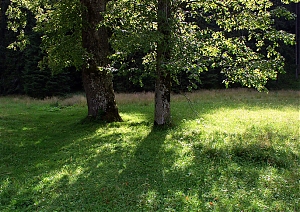 b231.jpg