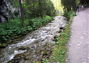 b232.jpg