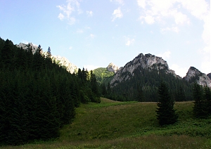 b233.jpg