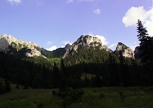 b234.jpg