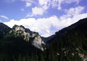 b235.jpg