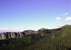 b238.jpg