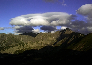 b239.jpg