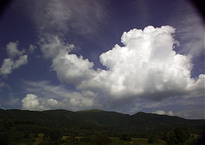 b254.jpg