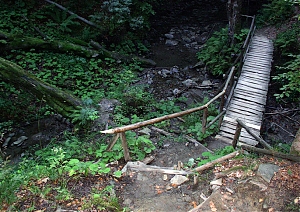 b265.jpg