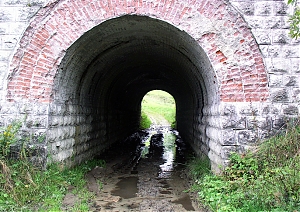 b267.jpg