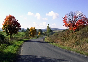 b270.jpg
