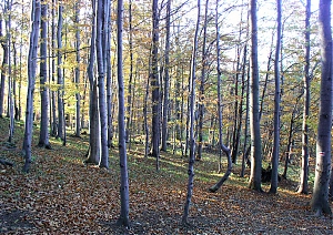 b276.jpg
