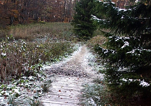 b277.jpg