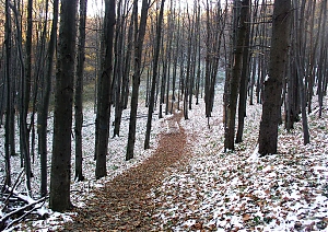 b278.jpg