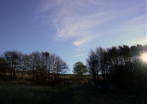 b279.jpg