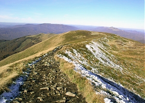 b282.jpg