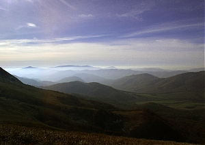 b284.jpg