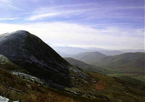 b286.jpg