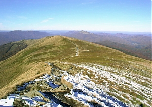 b287.jpg