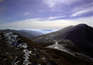 b288.jpg