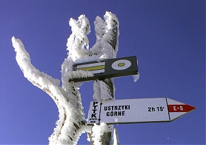 b292.jpg
