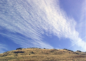 b294.jpg