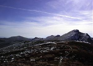 b295.jpg