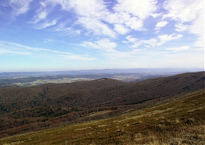 b297.jpg