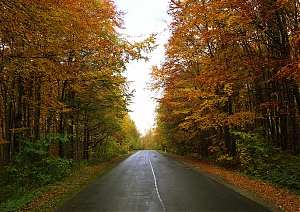 b300.jpg