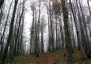 b302.jpg