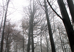 b303.jpg