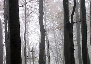b304.jpg