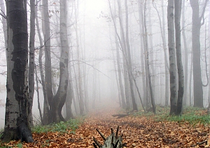 b307.jpg
