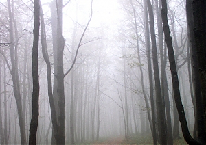 b308.jpg