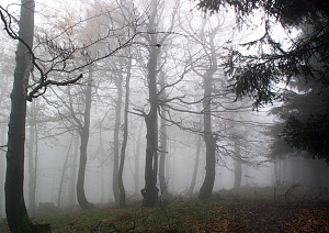 b309.jpg