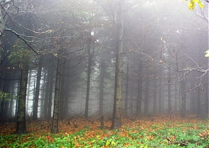 b311.jpg