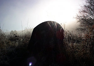 b313.jpg