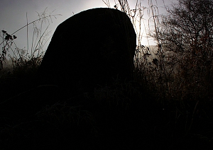b314.jpg