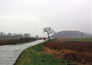 b317.jpg