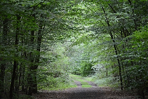 berrenraht_15.jpg