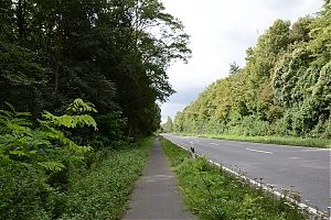 berrenraht_17.jpg
