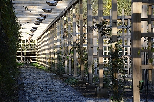 bolestraszyce-64.jpg