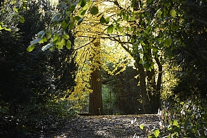 bolestraszyce-65.jpg