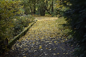 bolestraszyce-66.jpg