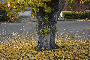 hamburg_055.jpg