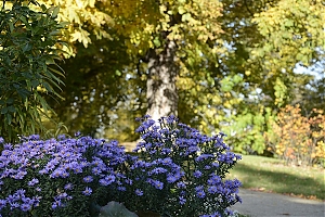 lancut-04.jpg
