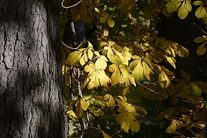 lancut-07.jpg
